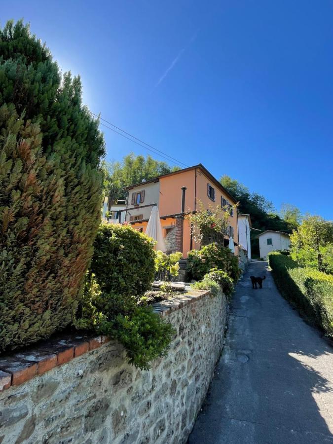 Casa Valeria Konuk evi Mammiano Dış mekan fotoğraf